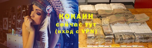 дживик Магас