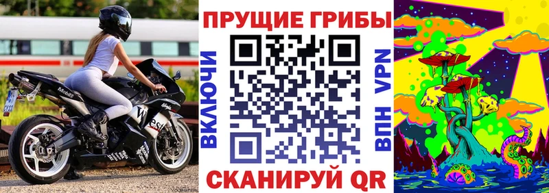 Галлюциногенные грибы прущие грибы Ачхой-Мартан