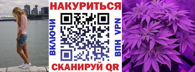 Шишки марихуана семена  где купить   Ачхой-Мартан 